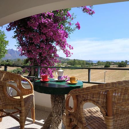 Vacanza In Ogliastra Tertenìa Εξωτερικό φωτογραφία