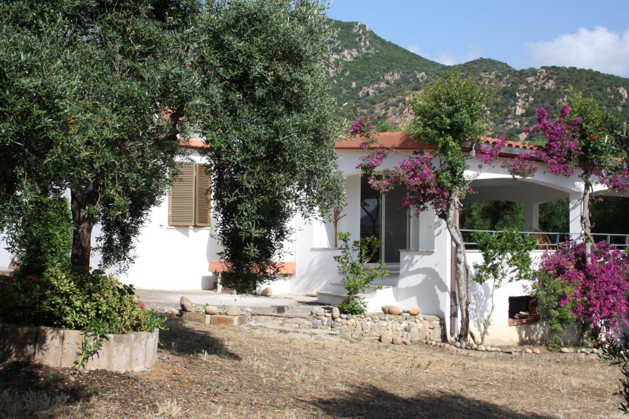 Vacanza In Ogliastra Tertenìa Εξωτερικό φωτογραφία