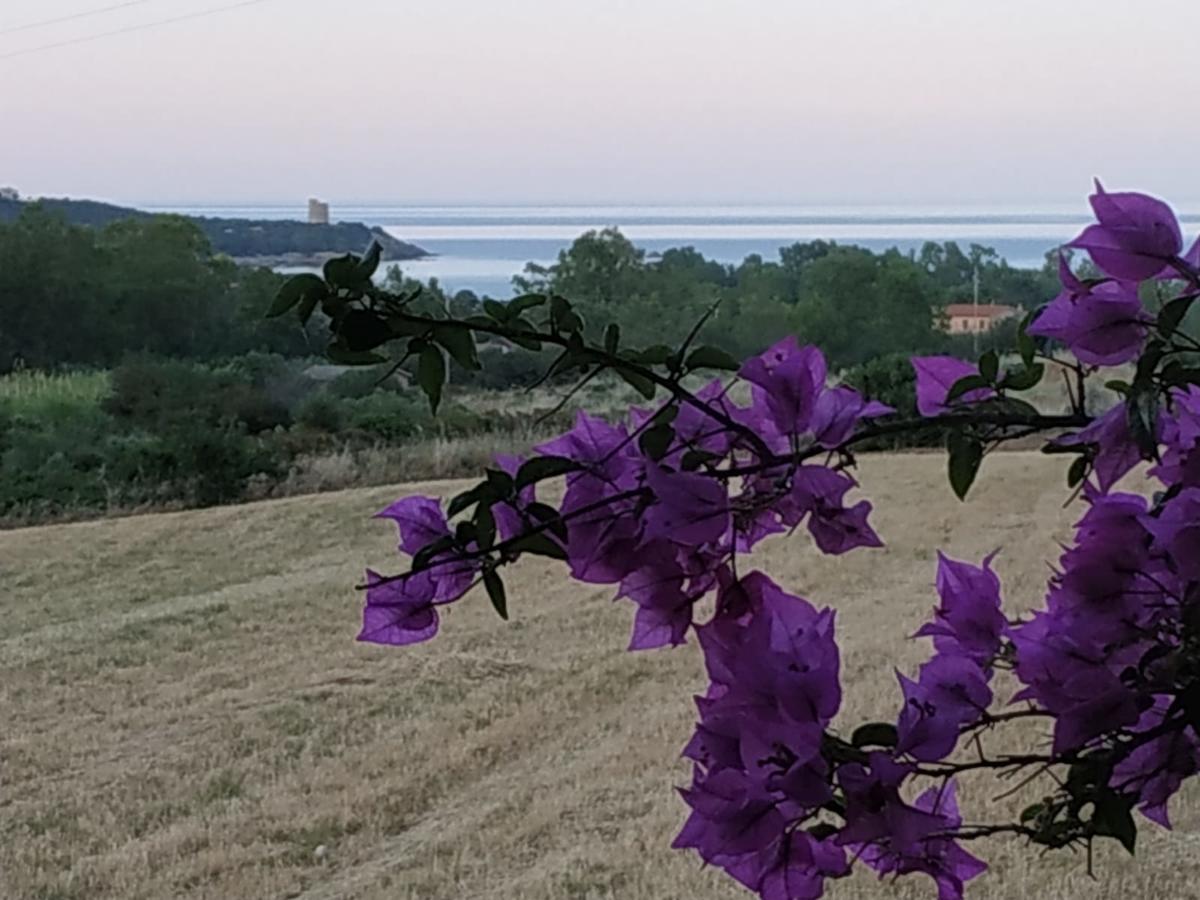 Vacanza In Ogliastra Tertenìa Εξωτερικό φωτογραφία